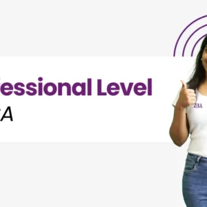 Professional+Level